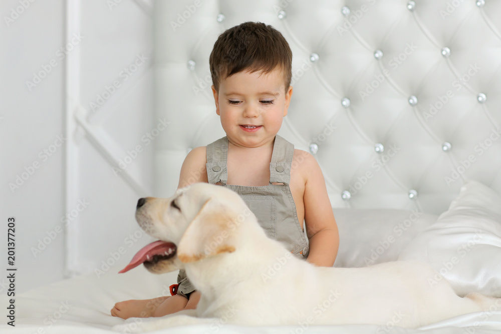 Boy with labrador puppy Boy with labrador puppy