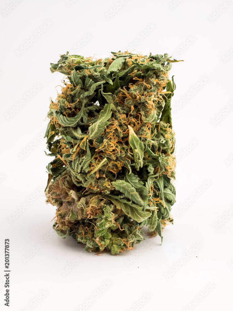 Close up marijuana buds out of prescription bottle. Close up marijuana buds out of prescription bottle.