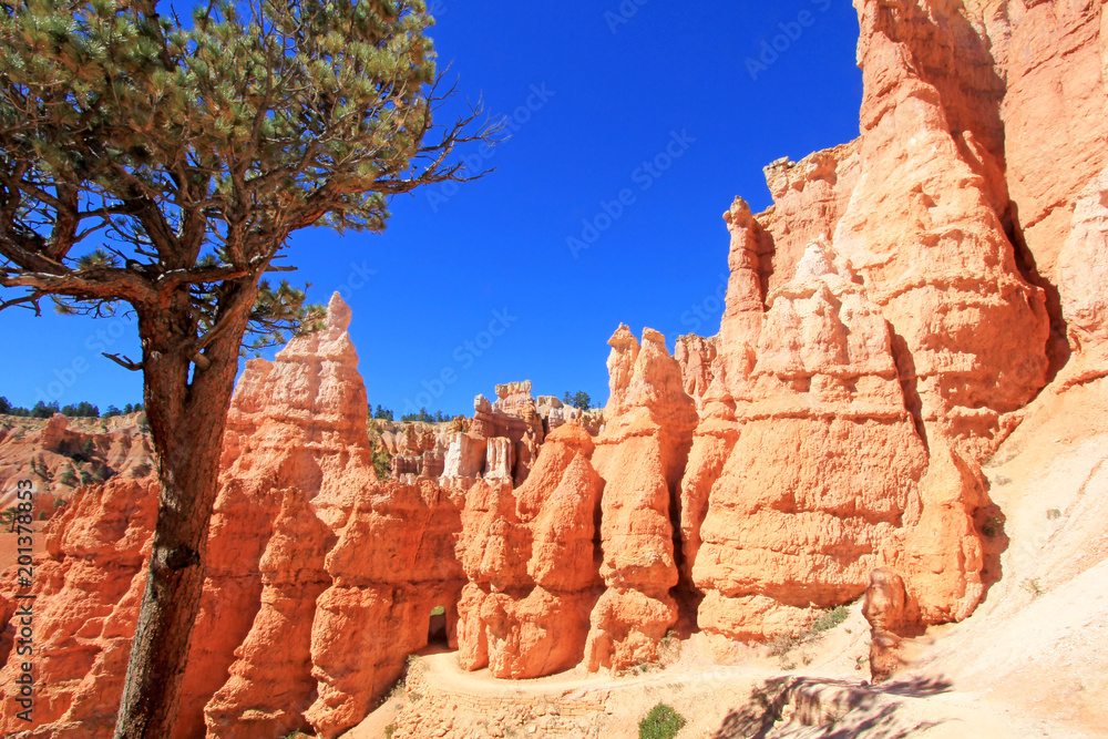 Bryce Canyon National Park, Utah, United States USA Bryce Canyon National Park, Utah, United States USA