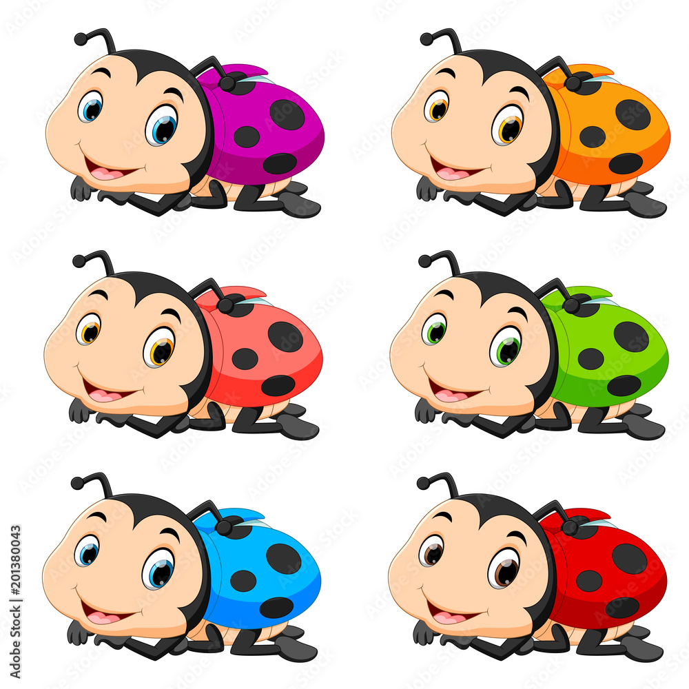 Ladybug with different facial expressions and different color Ladybug with different facial expressions and different color