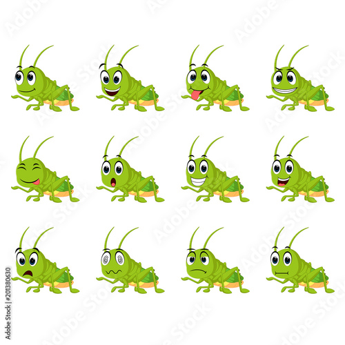 Grasshopper with different facial expressions
