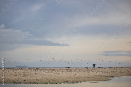 Flock on birds in mid flight with a couple walking on Paarden Eiland Beach at sunrise.