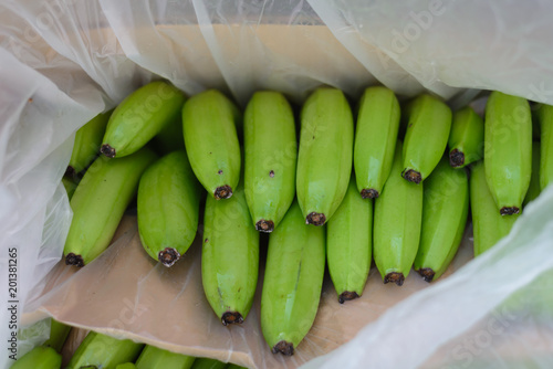 Green bananas in box photo