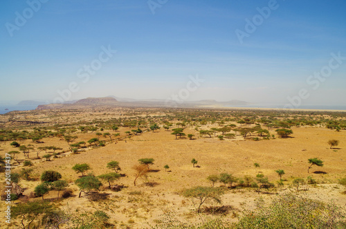 Aerial view of african savanna and alkaline lakes Shala and Abijatta in background. Nature and travel. Ethiopia, Rift Valley, Oromia Region, Abijatta-Shalla National Park