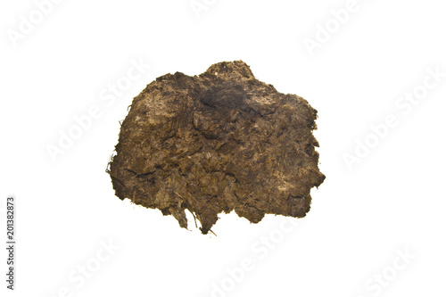 Εκτύπωση καμβά cow dung isolated on white background