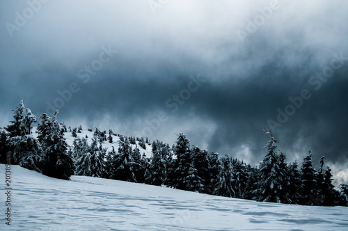 Scenic landscape with foreground completely covered in snow while the valley in background is not - Romania, Carpathian Mountains