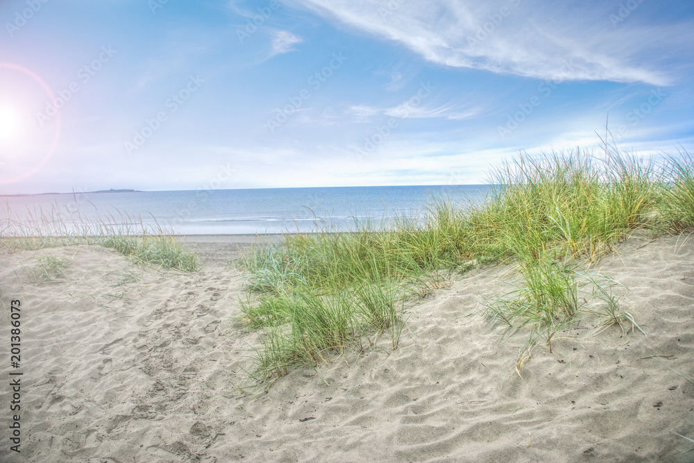 Fototapeta premium Ślady na piasku - wakacje na plaży