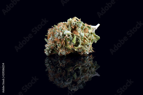 Medical marijuana bud isolated on black background. Therapeutic and medicinal cannabis weed close up