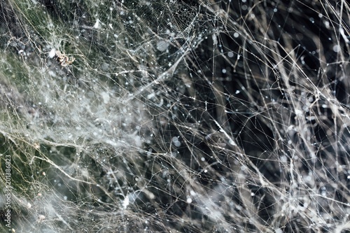 abstract dense spider web background