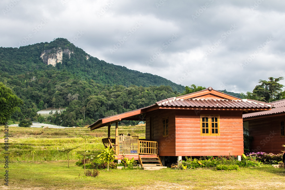 Yellow field And beautiful mountain views. And house Yellow field And beautiful mountain views. And house