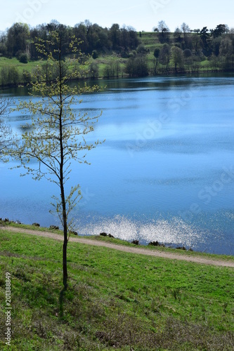 Weinfelder Maar im Frühling 2018 photo