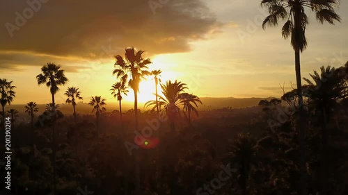 Wallpaper Mural Silhouette of palm trees and a beautiful sunset. Torontodigital.ca