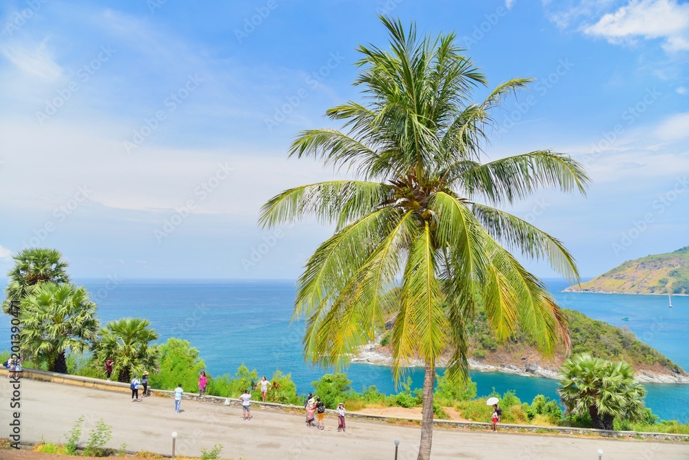Scenic View of Palm Tree Near Promthep Cape in the Island of Phuket in Thailand
