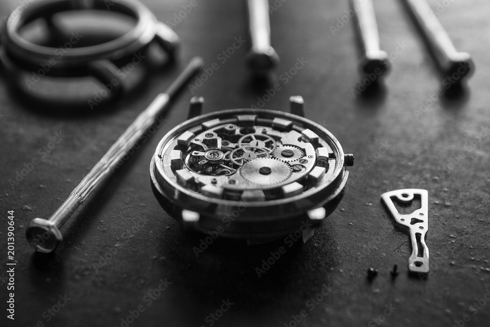 Fototapeta premium Mechanical watch repair