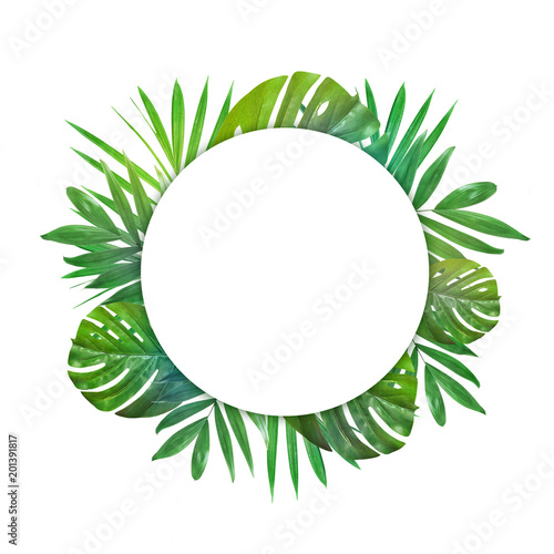 Creative layout of foliage on a white background with space for text. Frame of green leaves. Floral background. View from above