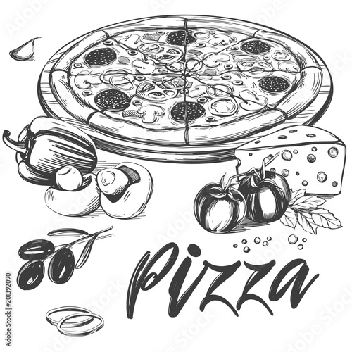 Fototapeta Włoska pizza, kolekcja pizzy ze składnikami, logo, ręcznie rysowane wektor ilustracja realistyczne szkic