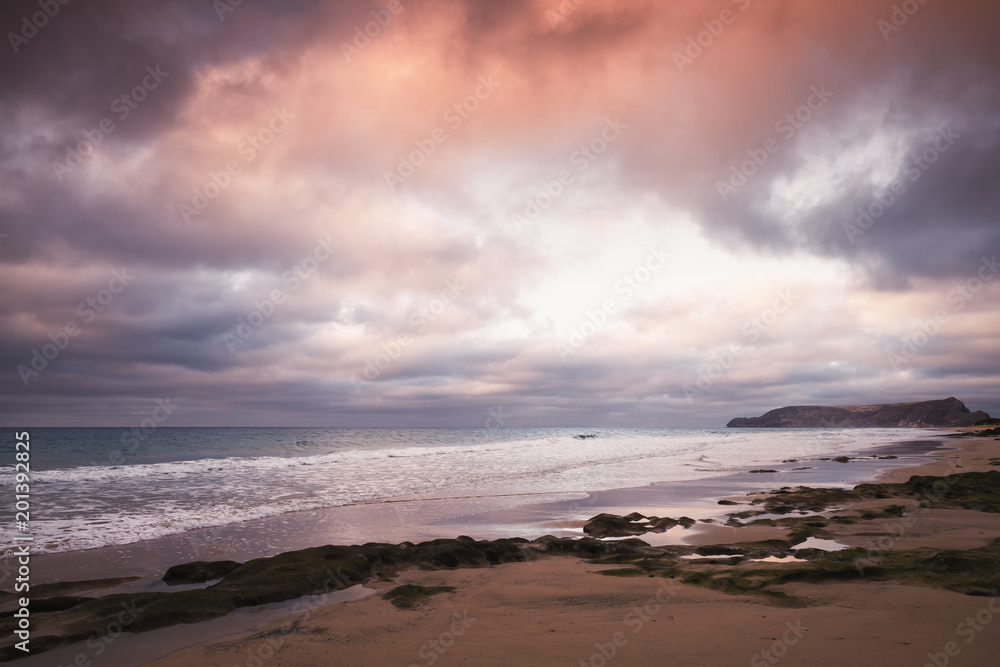 Wet stones with seaweed, beach landscape Wet stones with seaweed, beach landscape