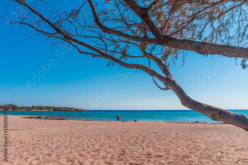 Fototapeta Naklejka Na Ścianę i Meble -  Majestic beach with clear blue crystal waters for swimming in Palaiochora village in Crete, Greece