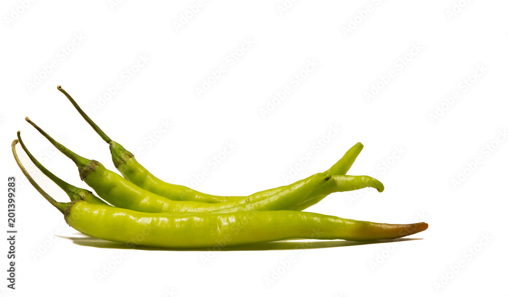 green jalapeno or chilli isolated on white background green jalapeno or chilli isolated on white background
