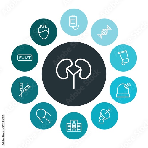 health, science, nature Infographic Colorful outline Icons Set. Contains such Icons as  building,  human,  crutch,  heart, observatory, medical,  universe and more. ..Fully Editable. Pixel Perfect