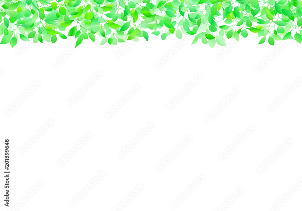 新緑 イメージ 背景 新緑 イメージ 背景