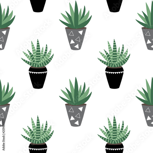 green house plants in the black and gray pots sansevieria haworthia scandinavian style boho seamless pattern vector