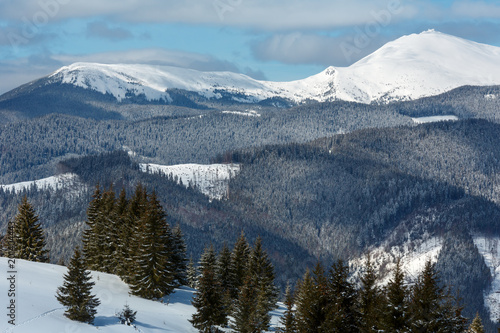 Winter snowy Carpathian mountains, Ukraine