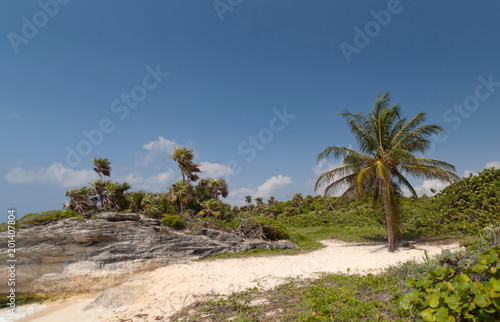 Idyllic beach of Caribbean Sea in Mexico © kwiatek7