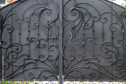 wrought-iron gates, ornamental forging, forged elements close-up