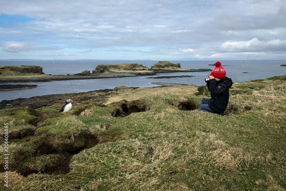 Young boy taking a photo of a puffin on the Scottish Island of Lunga