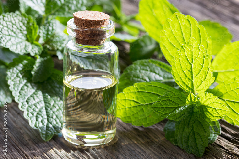 A bottle of essential oil with melissa twigs A bottle of essential oil with melissa twigs