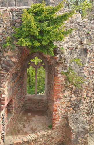 Fototapeta Naklejka Na Ścianę i Meble -  Schloss Auerbach