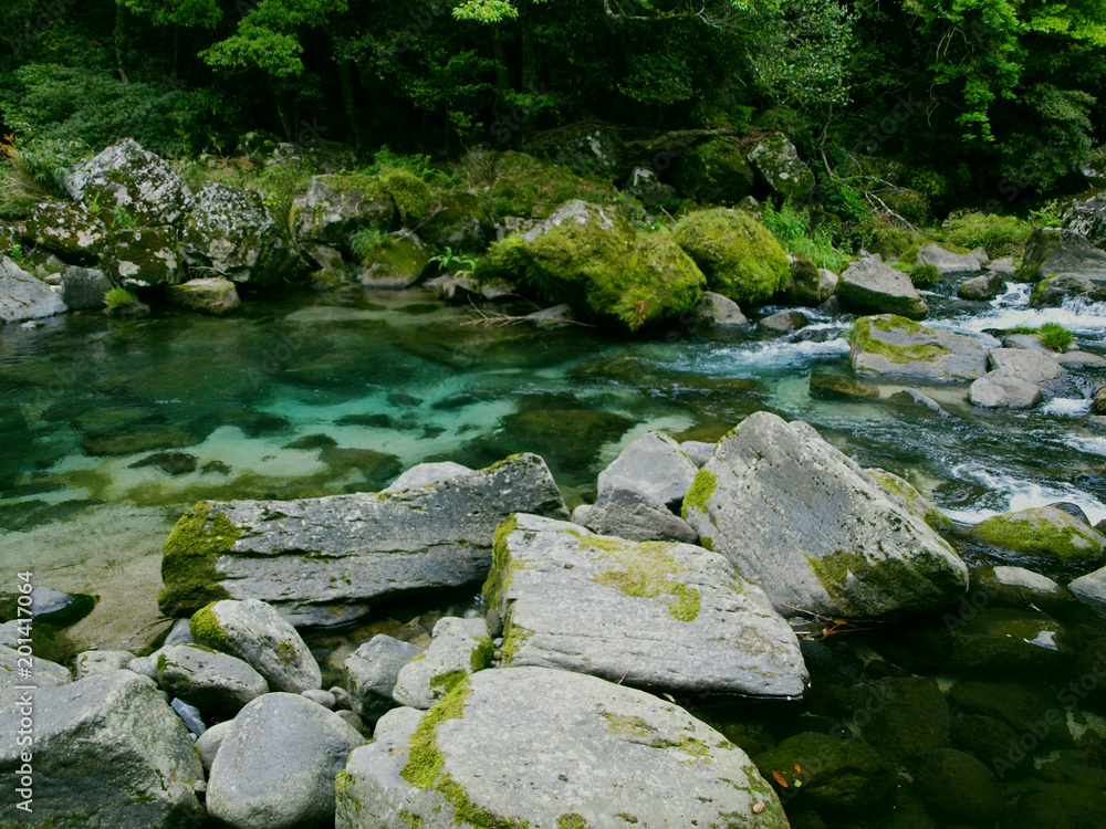 Fototapeta premium Azur water of a river bank in the forest of Yakushima, Japan