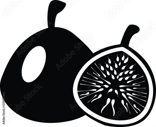 Fig icon. Simple illustration of fig vector icon.