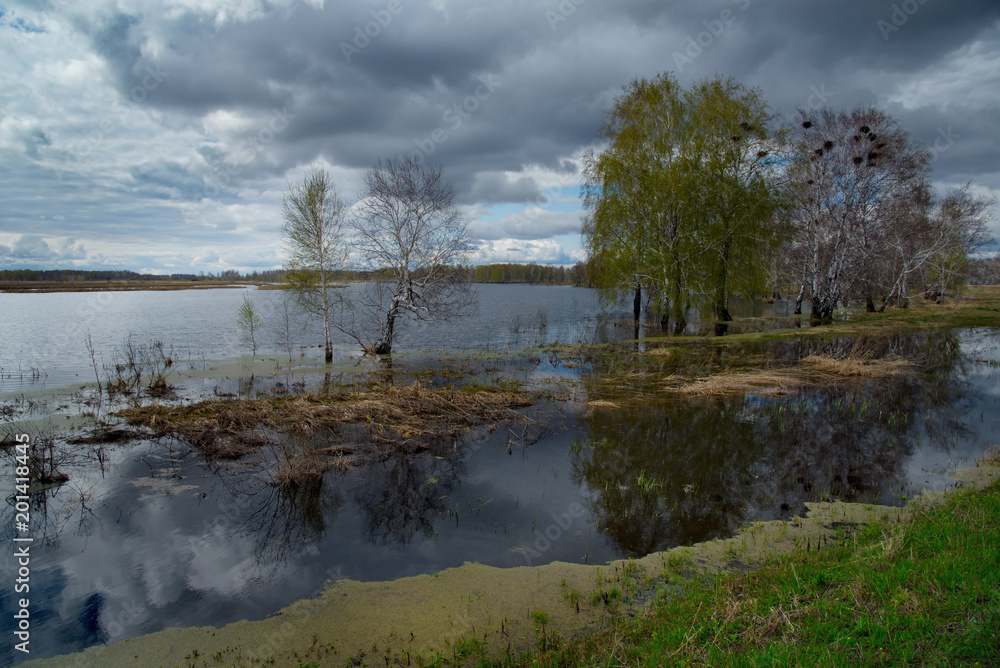 Russia. The flood on the Irtysh river