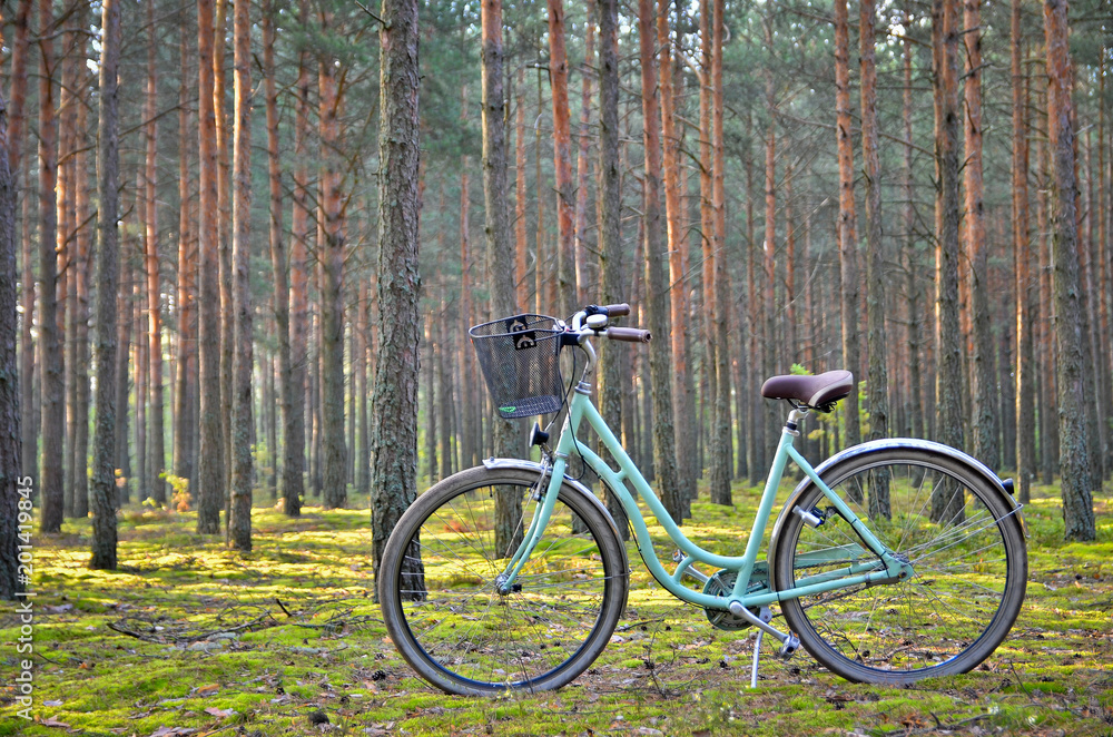 Vintage bicycle with a basket in a spring forest. Copy space.