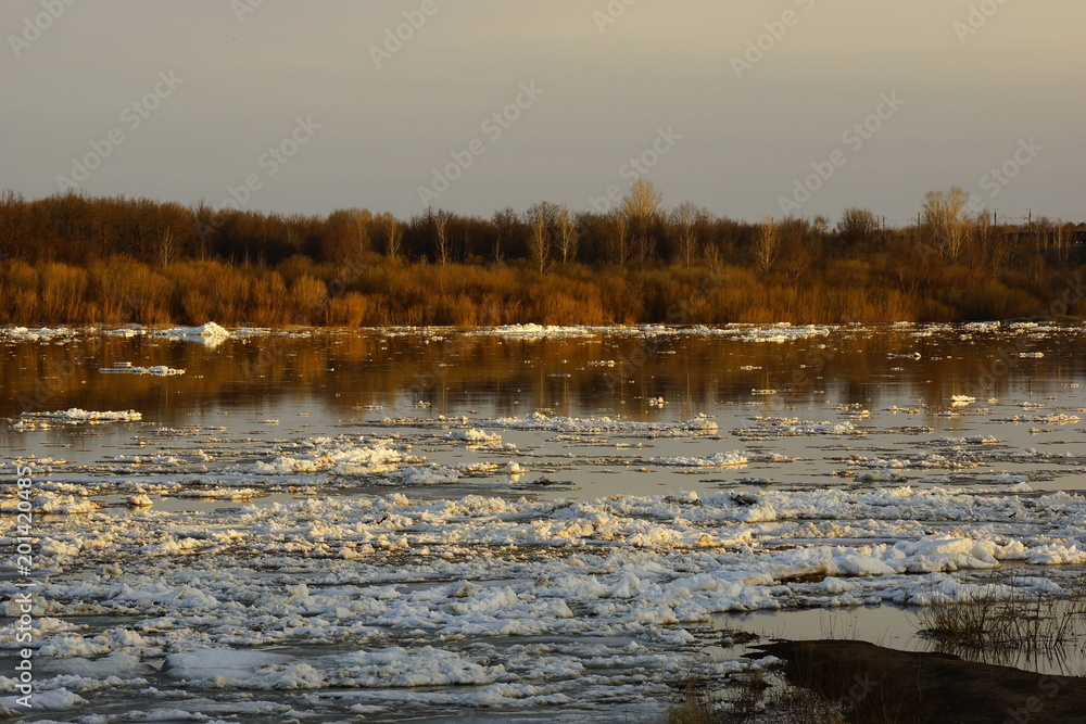 ice drift on the river. sunset. ice floes floating on the water. spring melts the ice cracks
