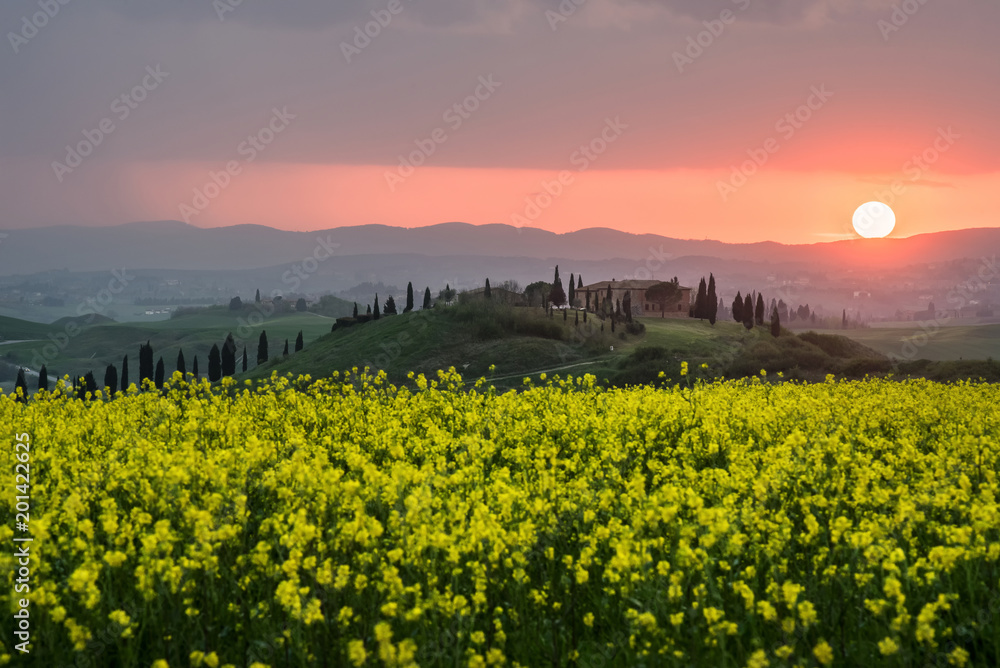 Tuscan spring landscape at sunset