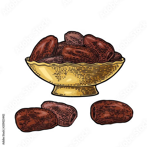 Sweet dates fruit in the bowl. Vector black vintage engraving