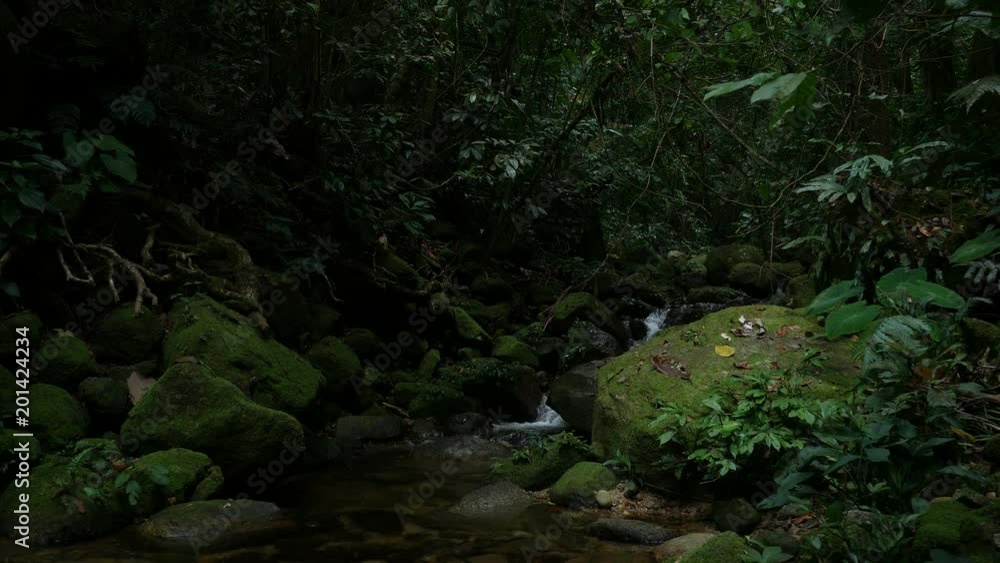 Stones and rocks covered by moss along water stream Stones and rocks covered by moss along water stream