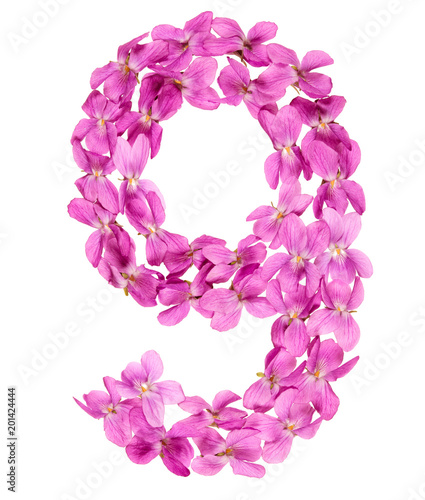 Arabic numeral 9, nine, from flowers of viola, isolated on white background