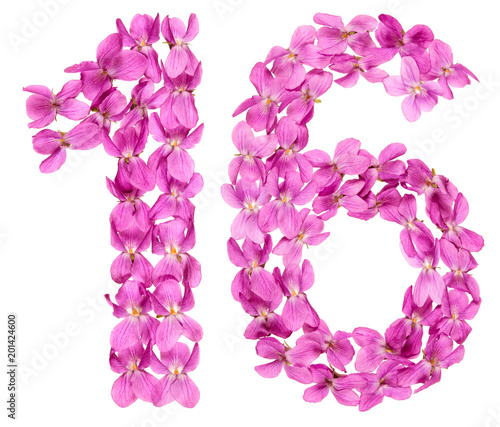 Arabic numeral 16, sixteen, from flowers of viola, isolated on white background © kostiuchenko