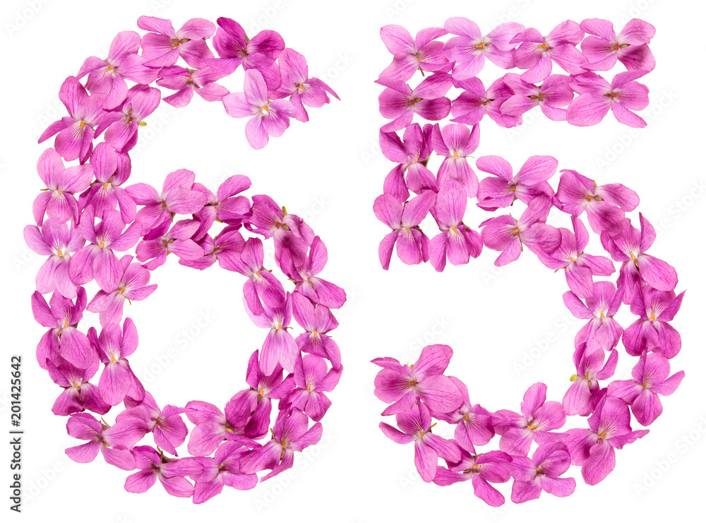 Arabic numeral 65, sixty five, from flowers of viola, isolated on white background Arabic numeral 65, sixty five, from flowers of viola, isolated on white background