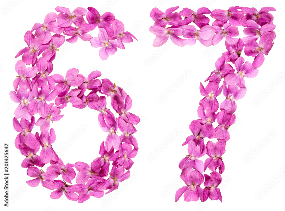 Arabic numeral 67, sixty seven, from flowers of viola, isolated on white background