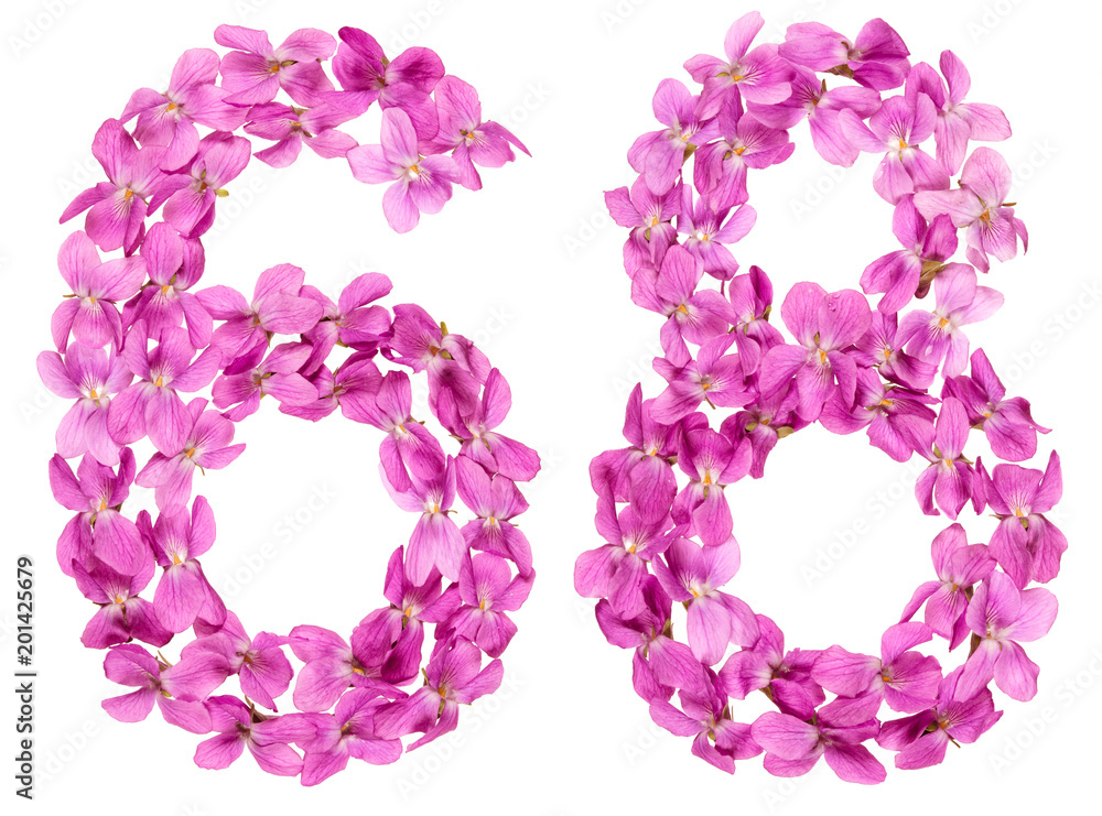Arabic numeral 68, sixty eight, from flowers of viola, isolated on white background