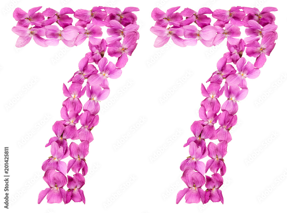Arabic numeral 77, seventy seven, from flowers of viola, isolated on white background Arabic numeral 77, seventy seven, from flowers of viola, isolated on white background