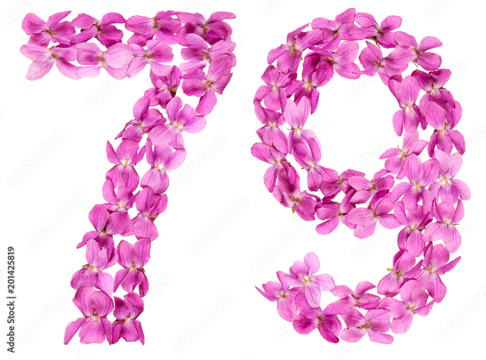 Arabic numeral 79, seventy nine, from flowers of viola, isolated on white background