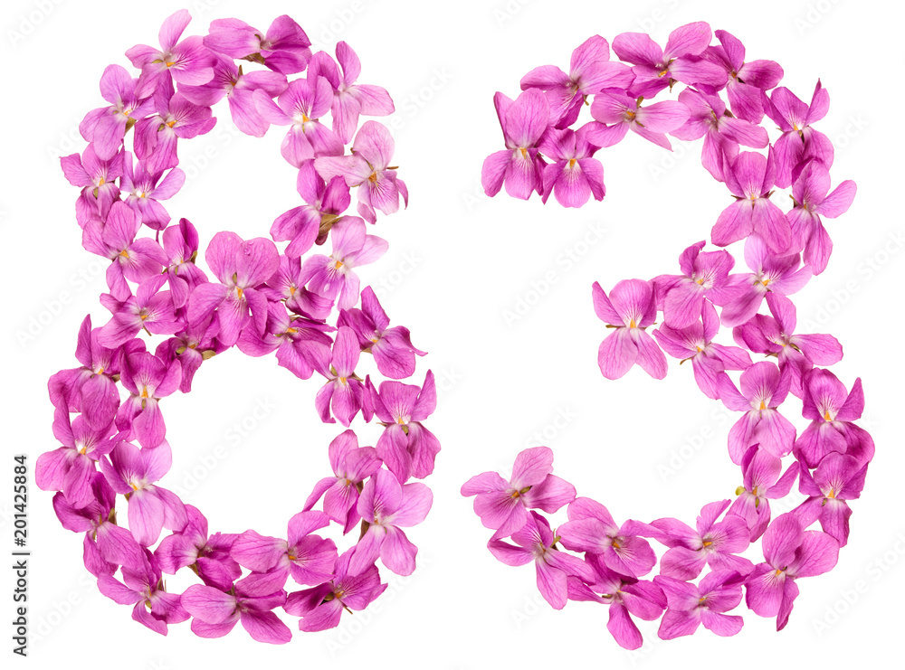 Arabic numeral 83, eighty three, from flowers of viola, isolated on white background Arabic numeral 83, eighty three, from flowers of viola, isolated on white background