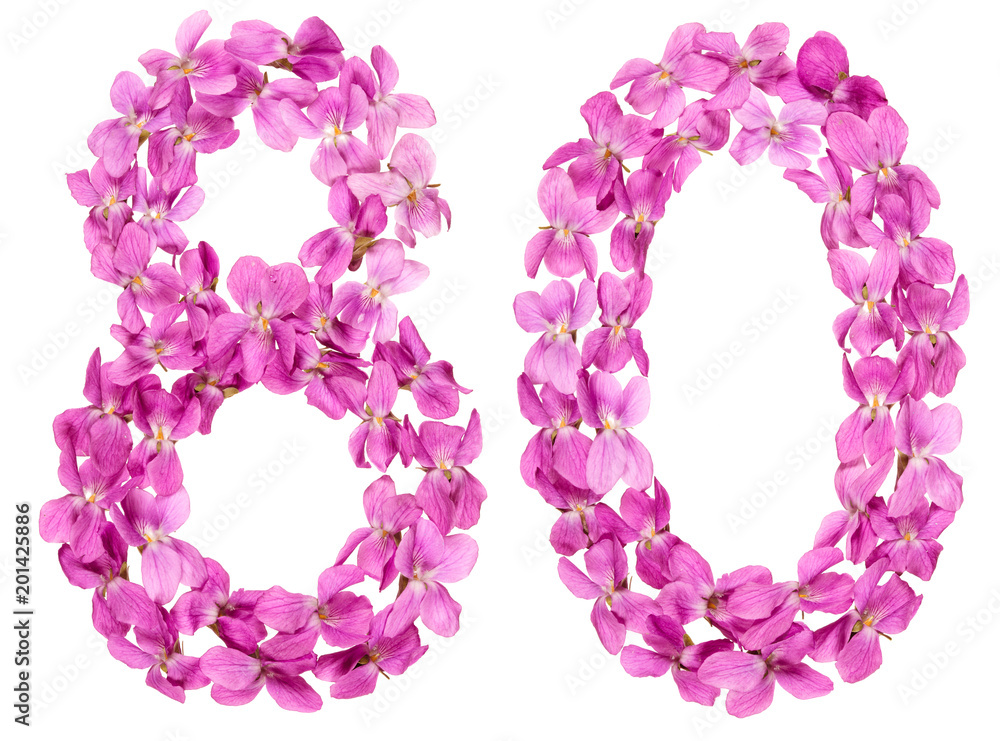 Arabic numeral 80, eighty, from flowers of viola, isolated on white background