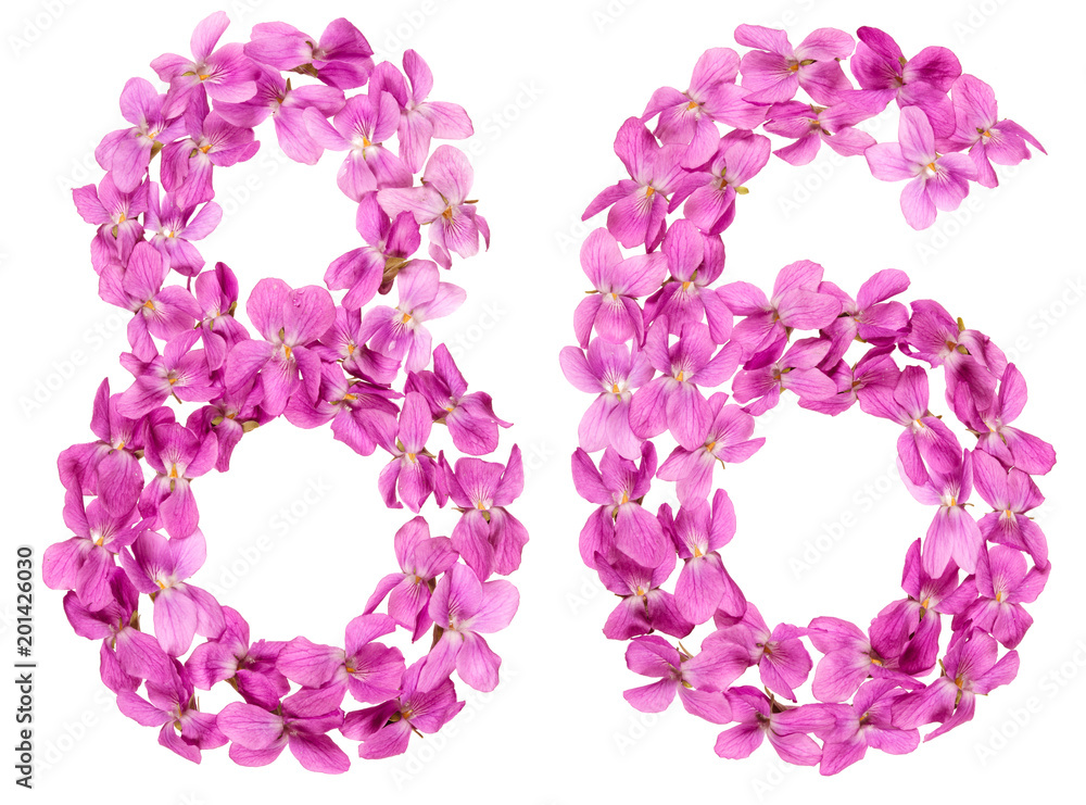 Arabic numeral 86, eighty six, from flowers of viola, isolated on white background